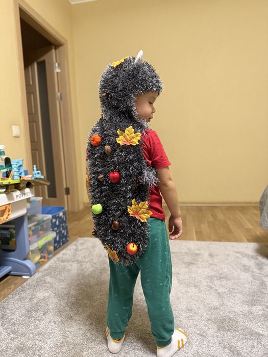 Костюм Їжачка , ежика