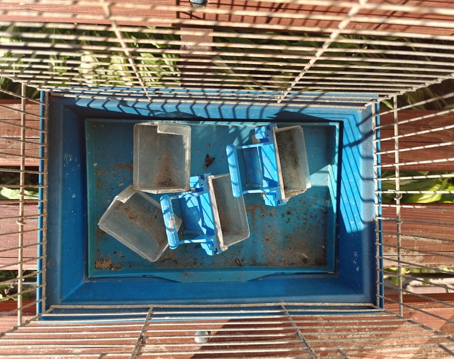 Klatka dla ptaków kanarka kanarków