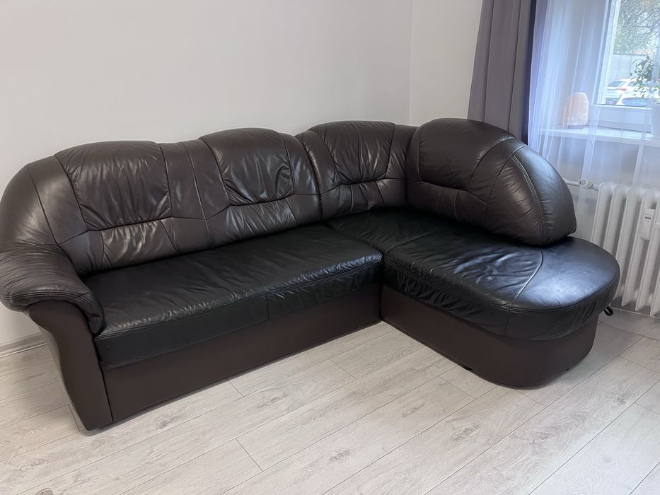 Nroznik skórzany w kolorze brązowym