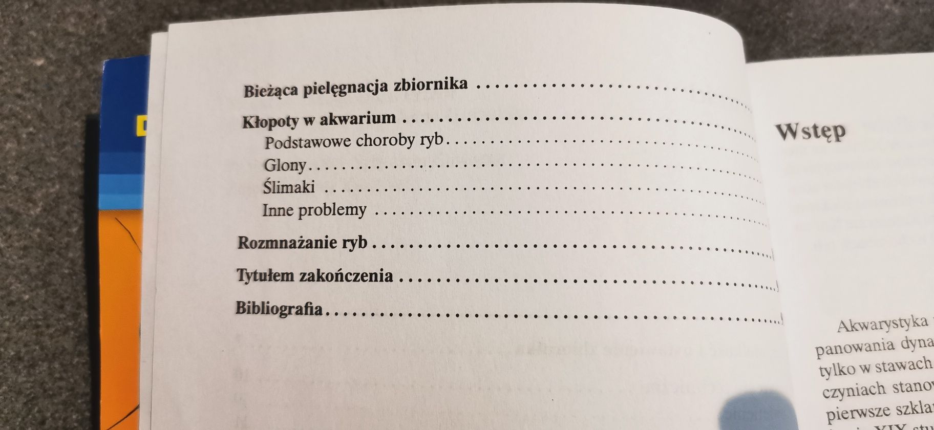 Akwarium od podstaw
Zarzyńska Joanna Zarzyńska Paweł