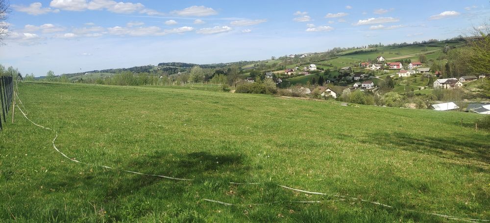 Działka budowlana 24a Rzepiennik Biskupi
