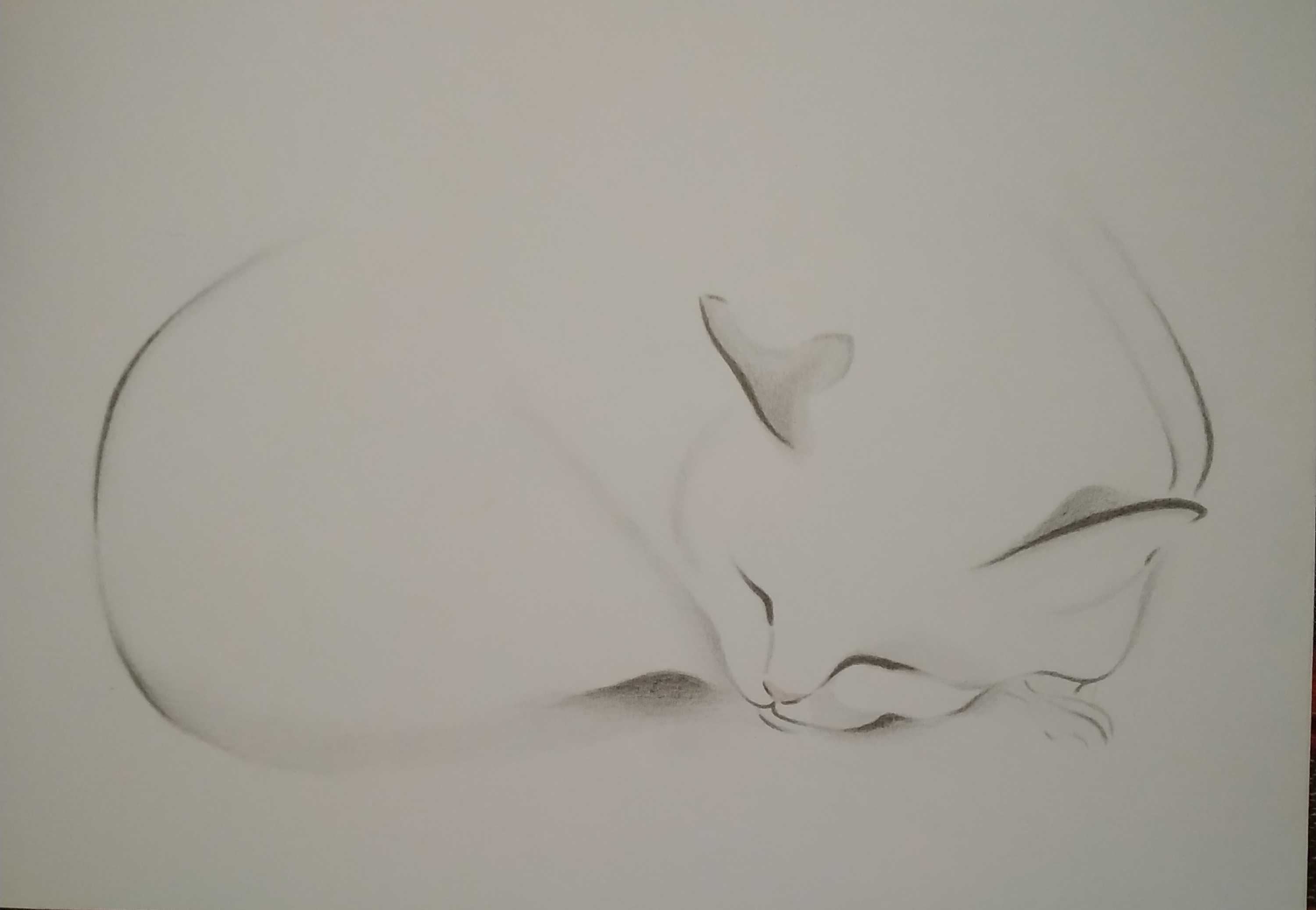 Картина "Спящий кот"