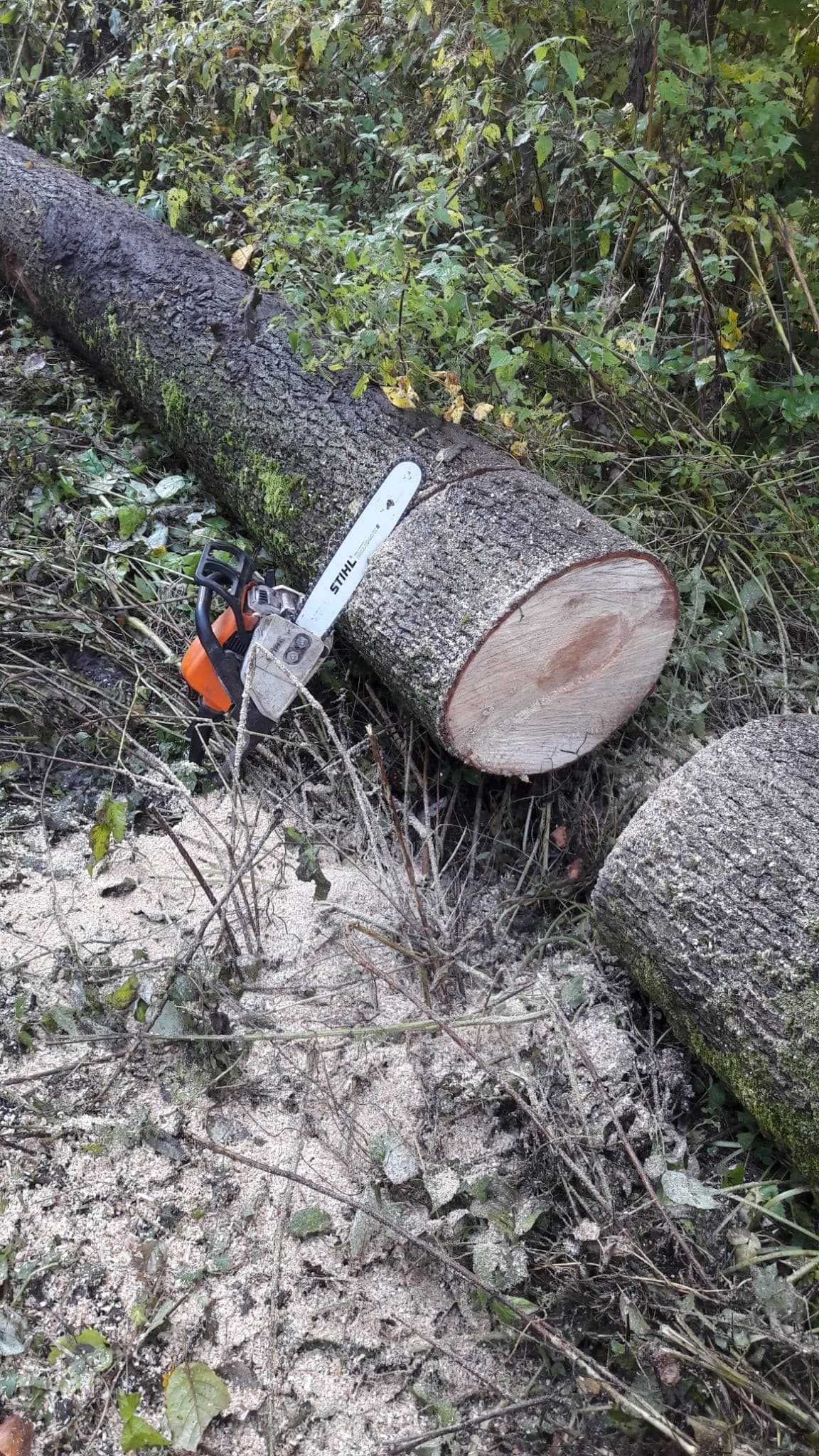 Drewno opałowe / kominkowe. Sprzedaż przez cały rok! Atrakcyjne ceny.