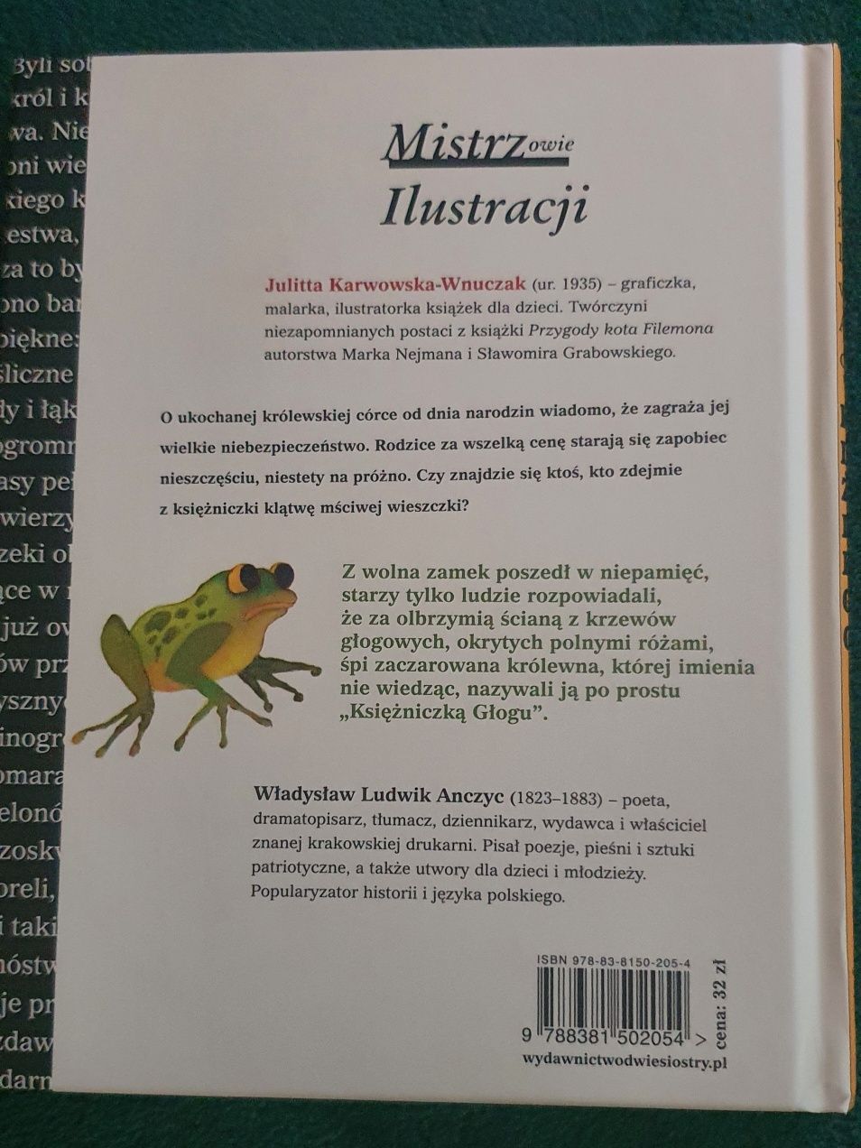 Księżniczka Głogu Władysław Ludwik Anczyc książka dla dzieci