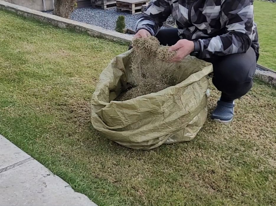 Оренда скарифікатора для газона