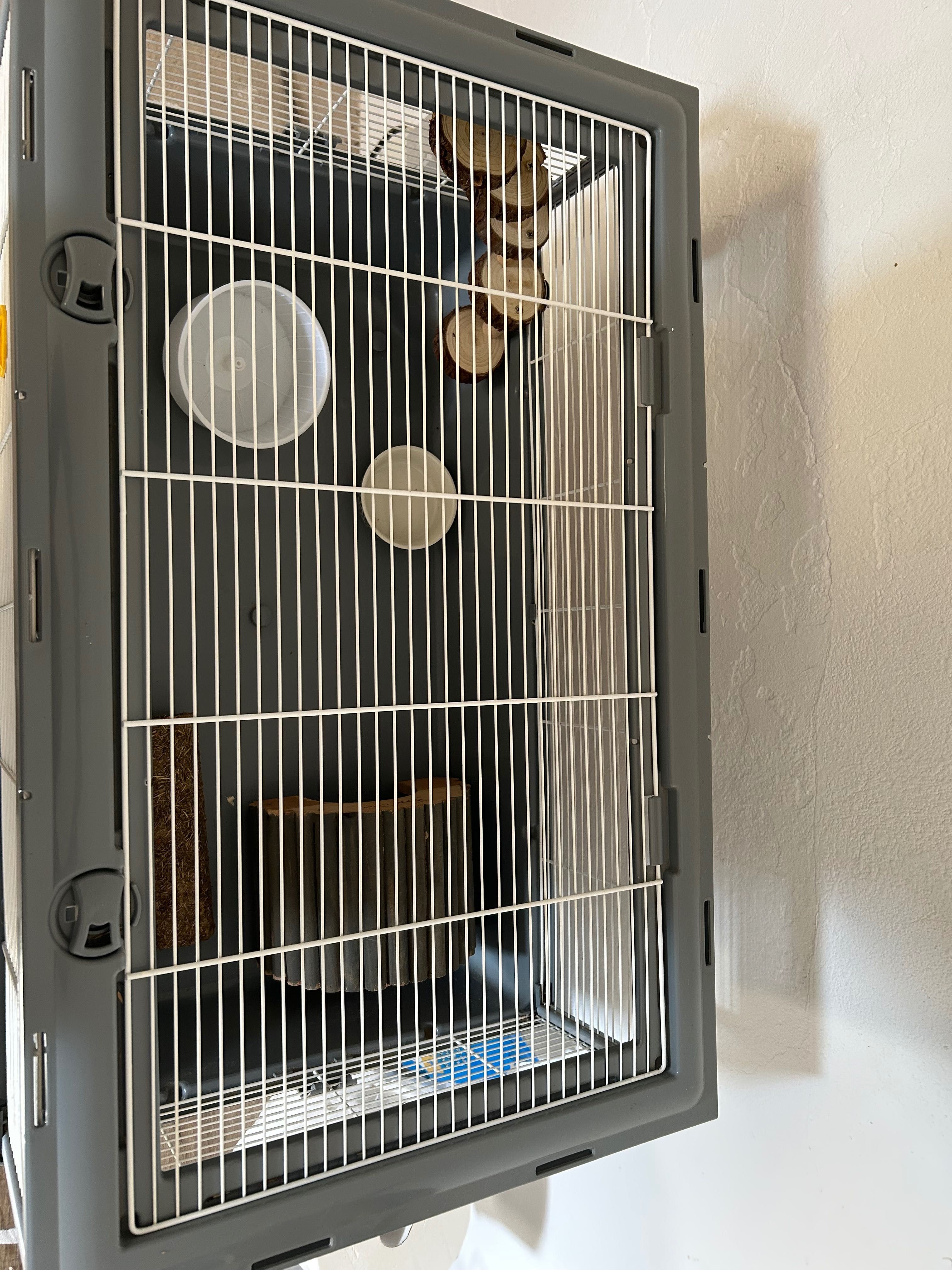 Gaiola para Hamster mais acessórios