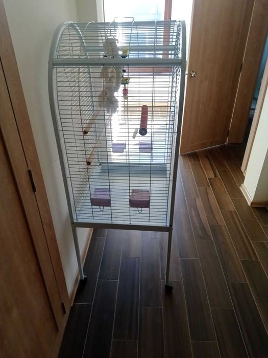 Клітка для папуги; клітка вольєр; клітка для великих та середніх птах