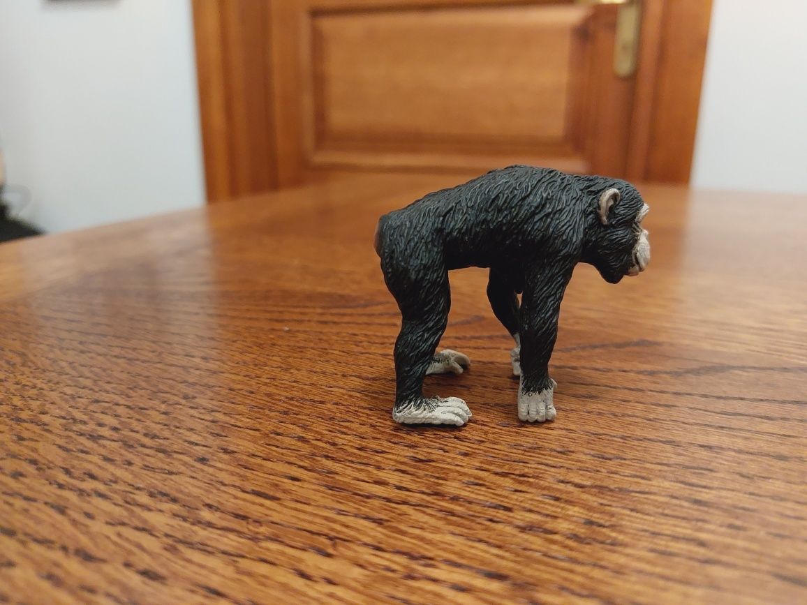 Szympans collecta figurka