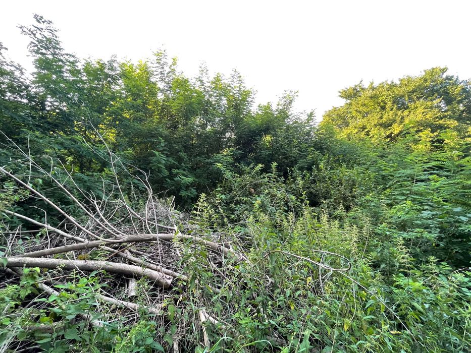 Земля, що працює на вас: 6 соток для максимального прибутку! HH