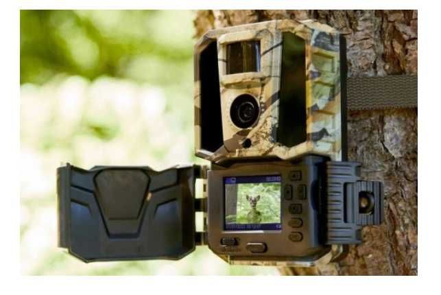 Fotopułapka leśna noktowizyjna ROLLEI HD-1 30MP Night Vision