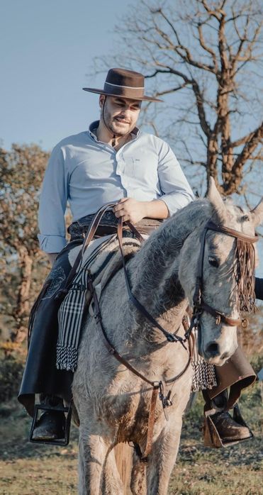 Para venda cavalo
