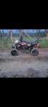 Bashan 250 xone .