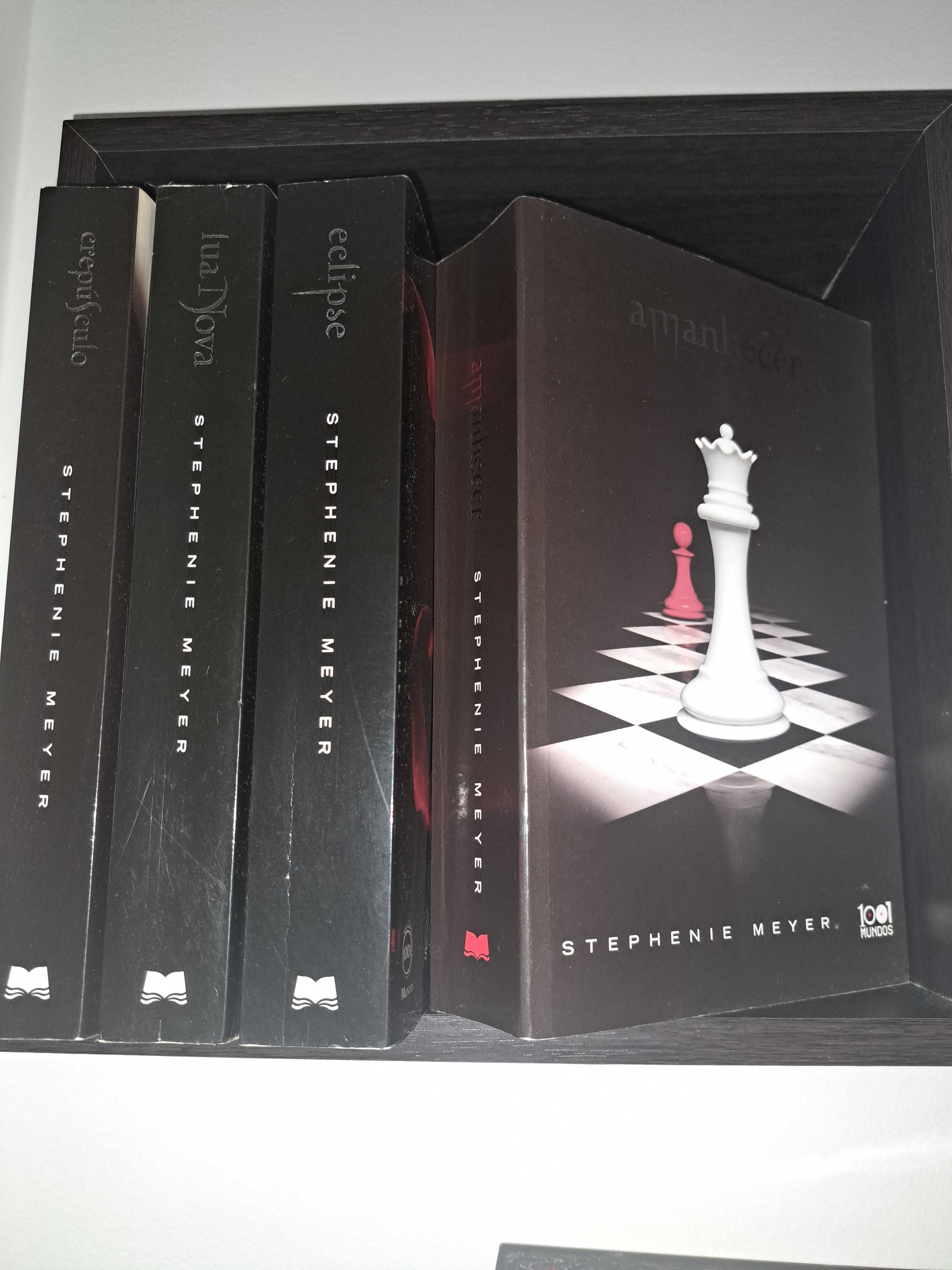 Livros da Saga Twilight de Stephanie  Meyer