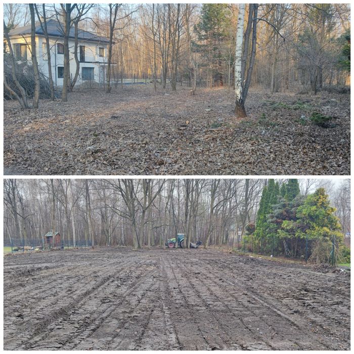 Wycinka drzew / Pielęgnacja drzew / Czyszczenie działek / Karczowanie