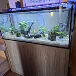 Aquario de 300 Lts, com movel