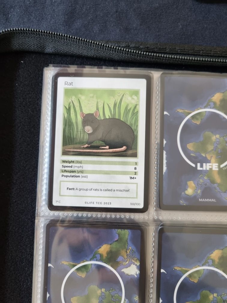 Life TCG cartas 26 a 100 não holo (todas as incomuns e conuns)