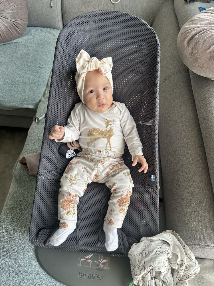 Bujak babybjorn siatka antracyt