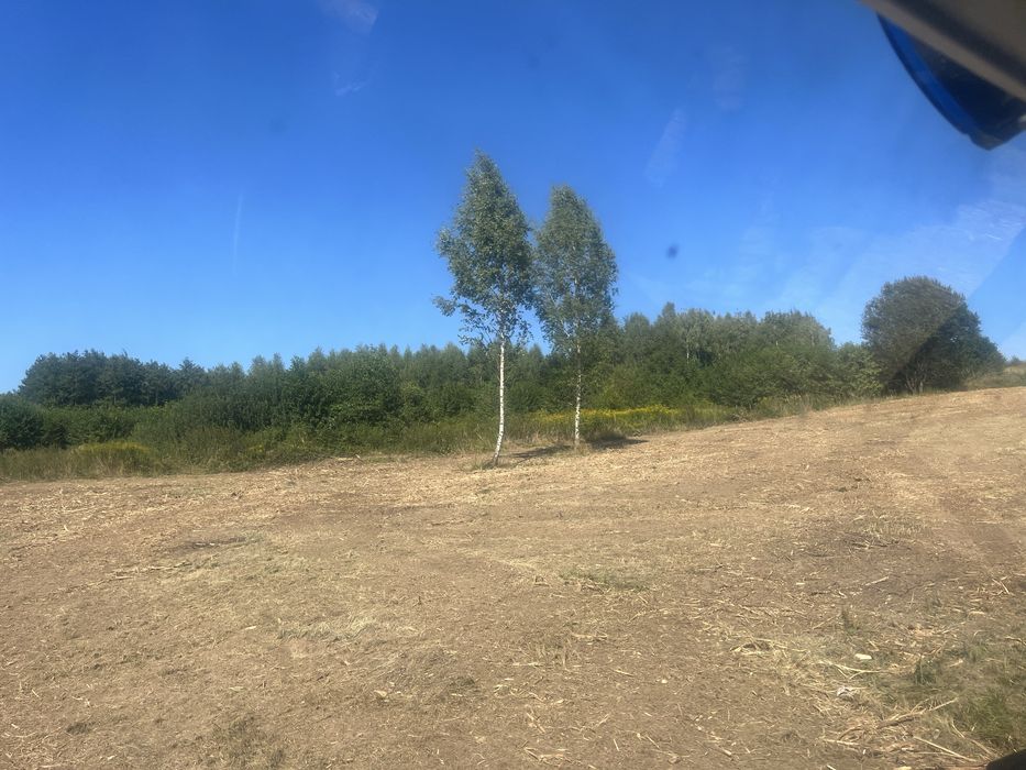 Mulczowanie Karczowanie usuwanie zakrzaczen samosiejek wycinka drzew