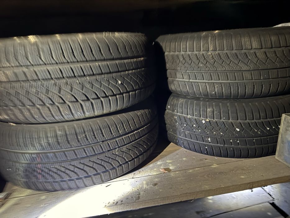 PolarMaxx sport star maxx 225/55 R17