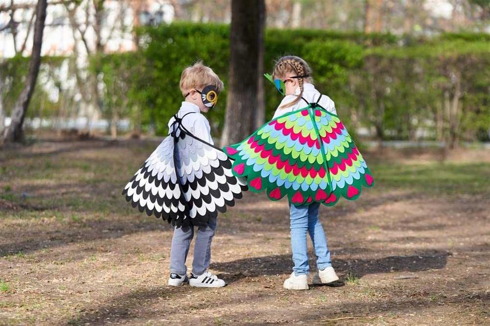 2 peças de asas de pássaro para crianças dos 3-8 anos, Carnaval