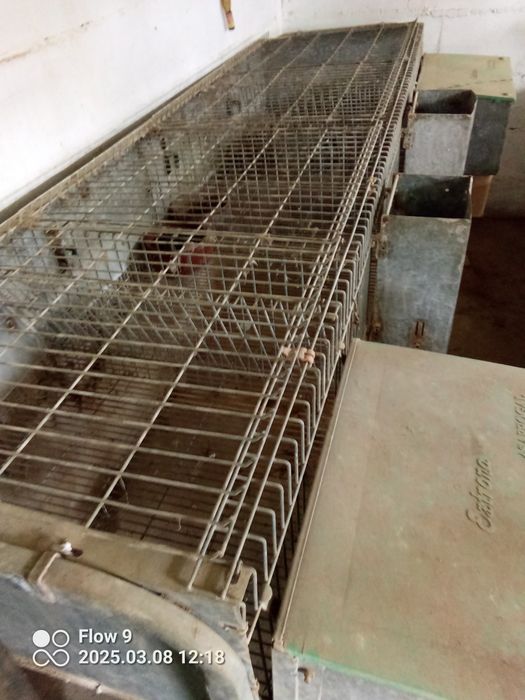Bateria para criação de coelhos