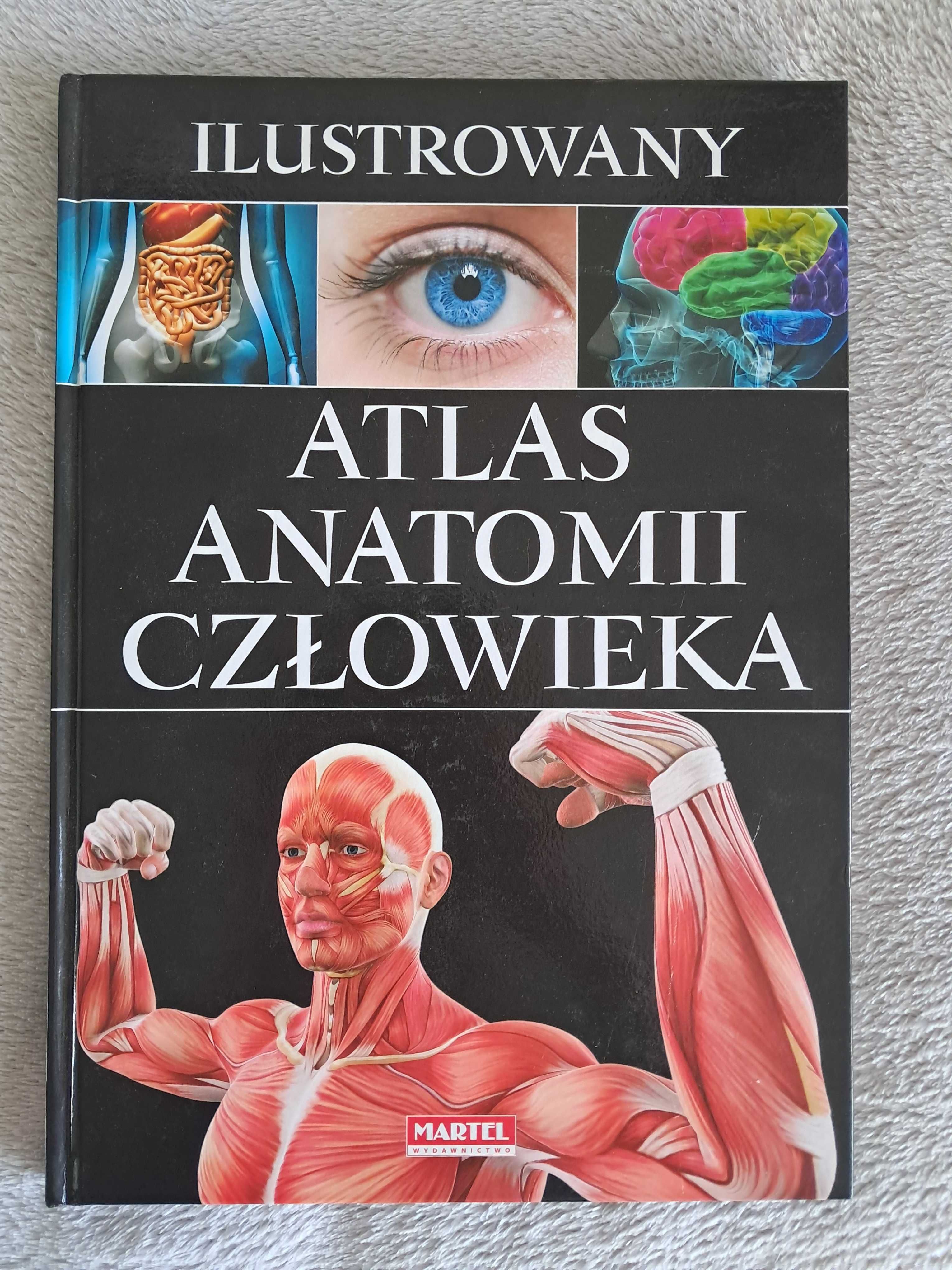 Ilustrowany atlas anatomii człowieka MARTEL