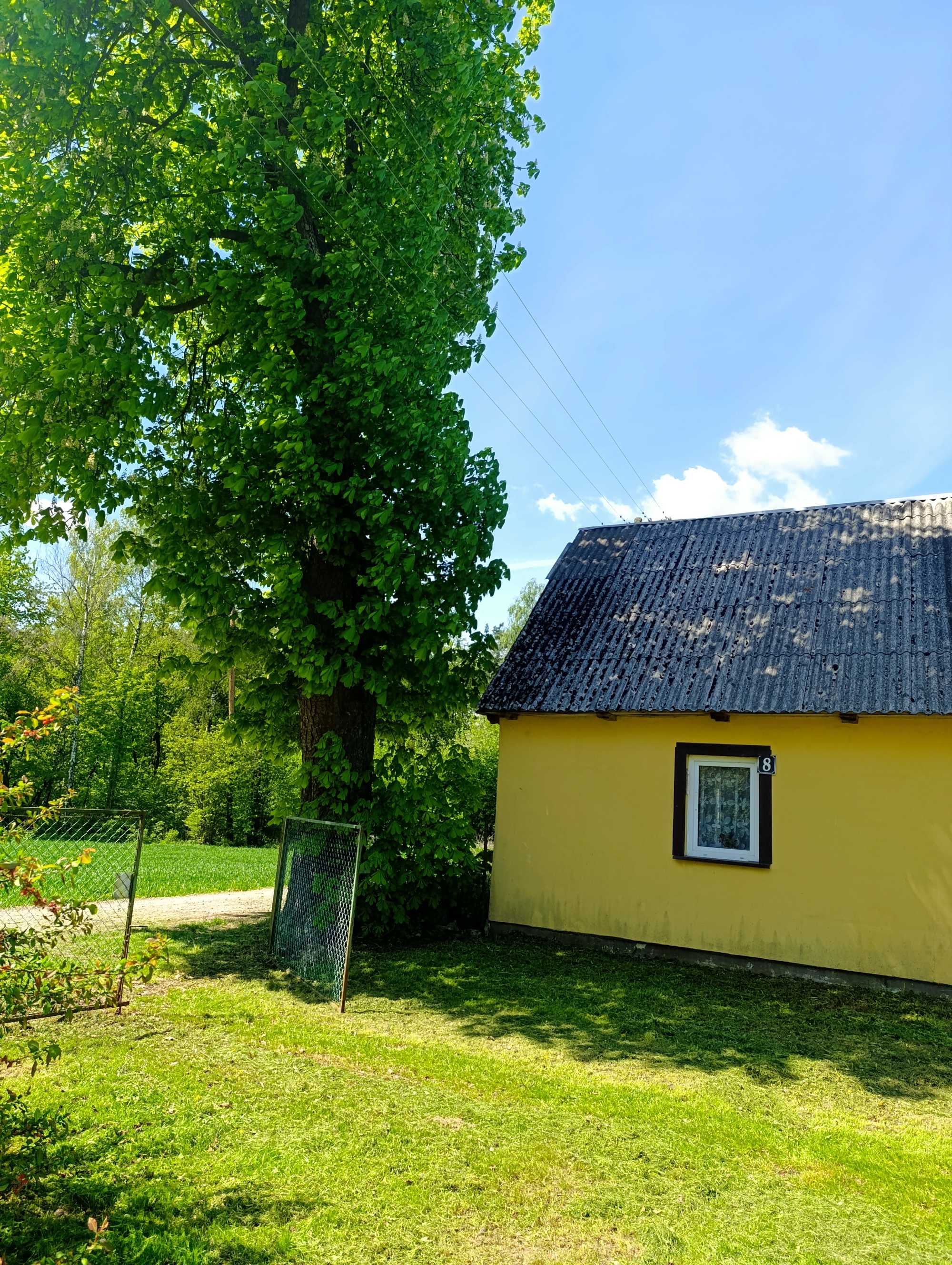 Siedlisko Bielecha