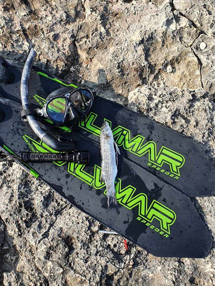 Pletwy salvimar rozmir 43 ( sperfishing freediving carbon )
