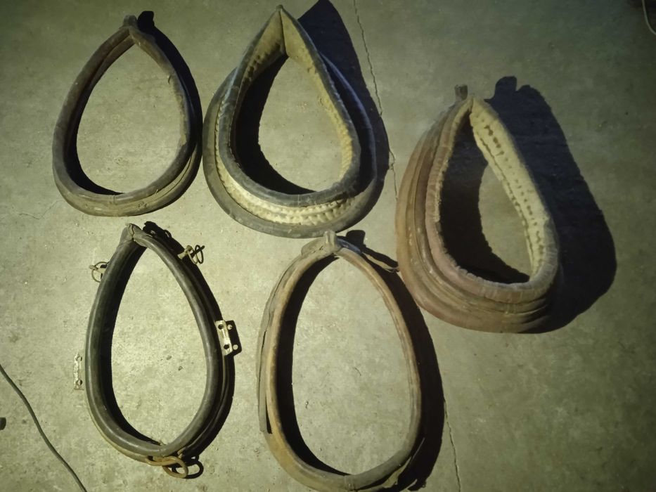 Chomąto,Orczyki,Uzdy,Lica na parę,Baty, sprzęt konny