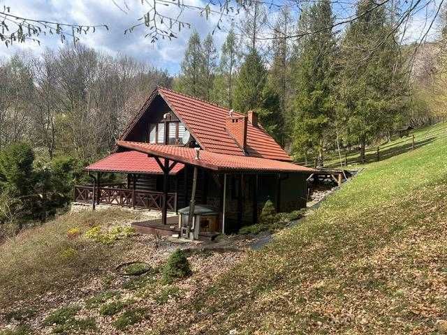 Willa do wynajęcia z sauna, jacuzzi i bilardem