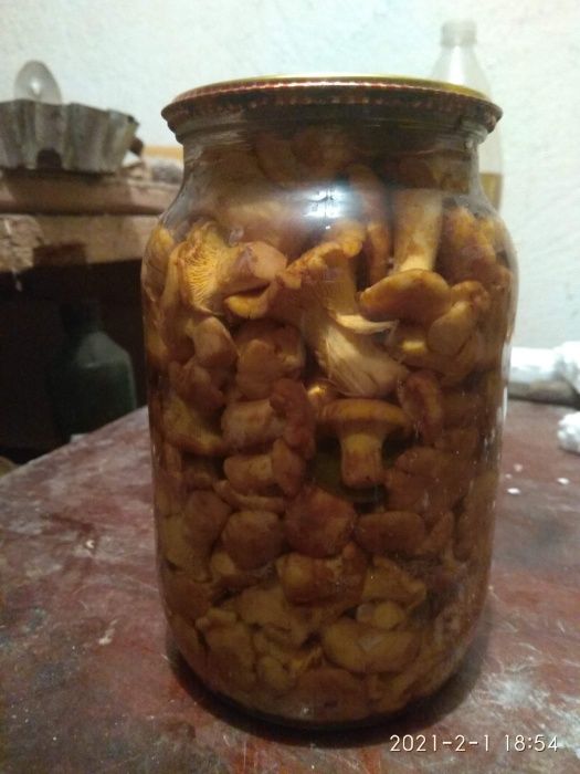 Гриби лисички мариновані