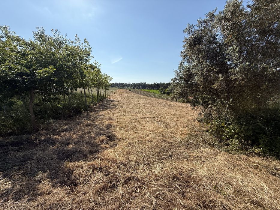 Terreno para construçao