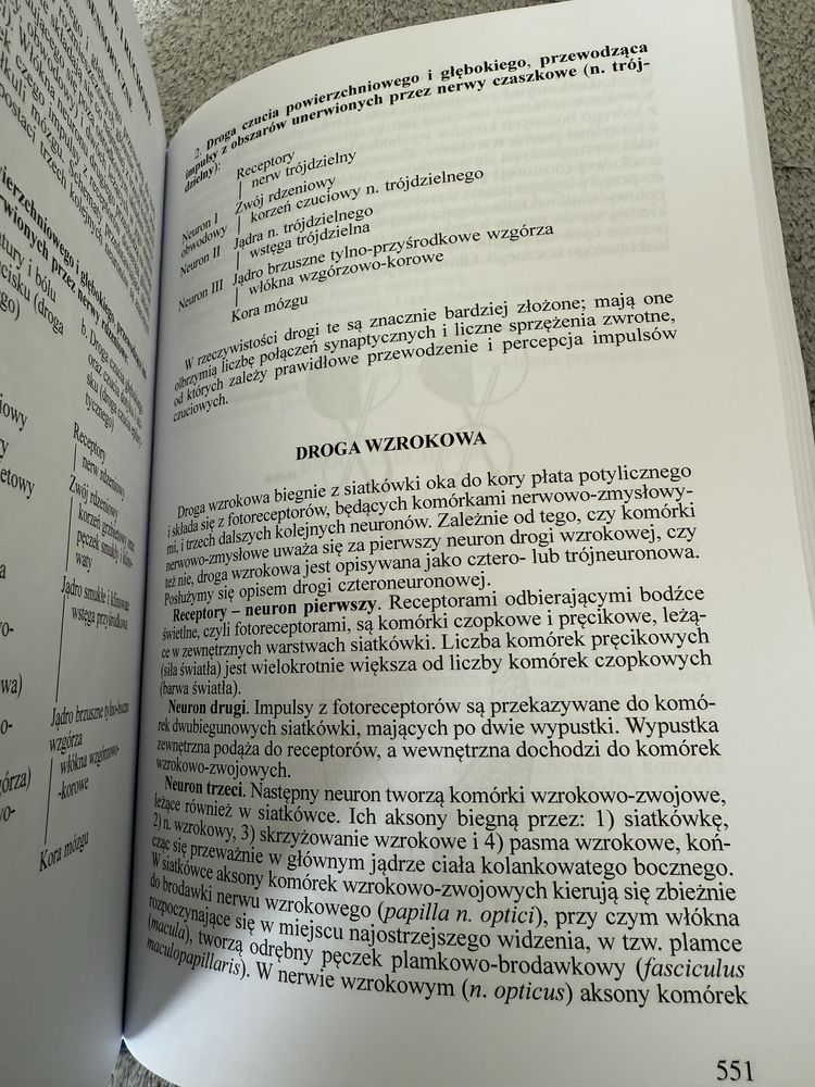 Anatomia człowieka Repetytorium anatomia Bochenek