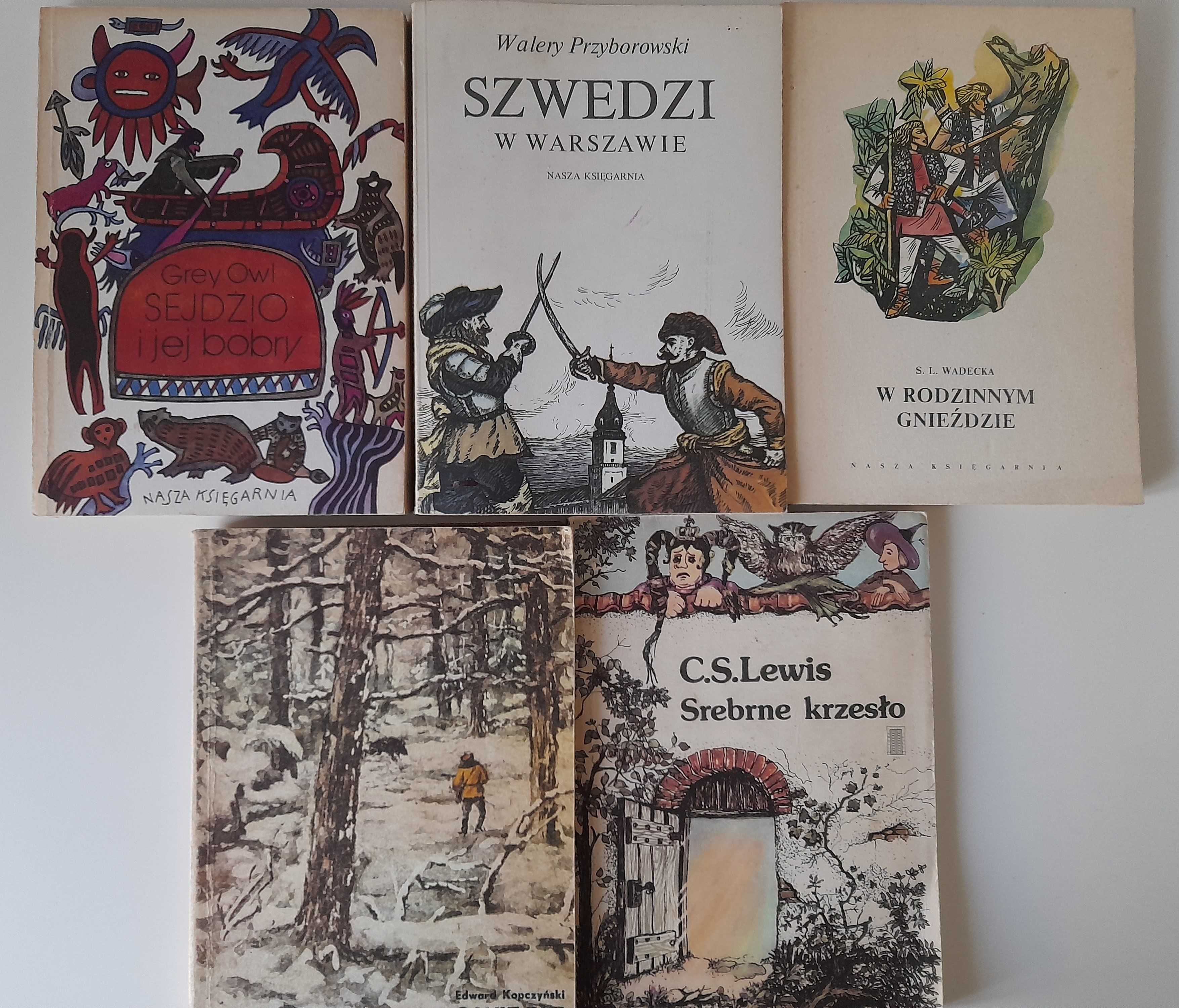 5 książek dla dzieci Sejdżo i jej bobry Grey Owl i inne