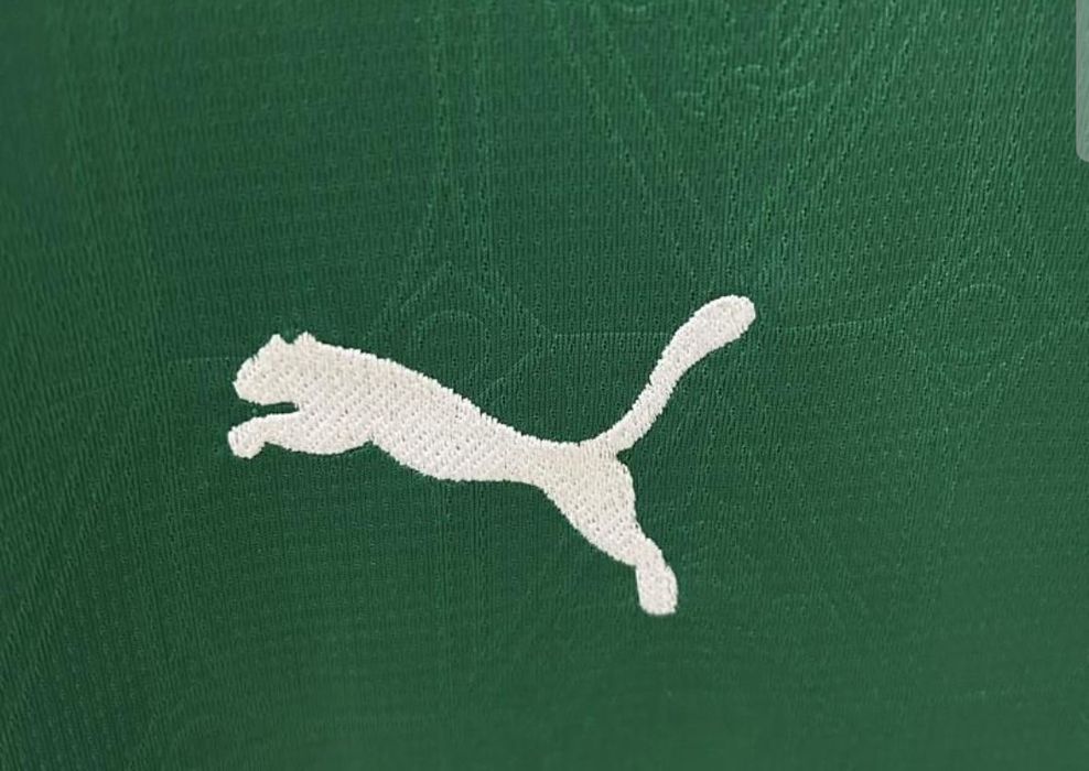 Camisola Palmeiras 25/26 

Vários Clubes 
Mais disponíveis pedir fo