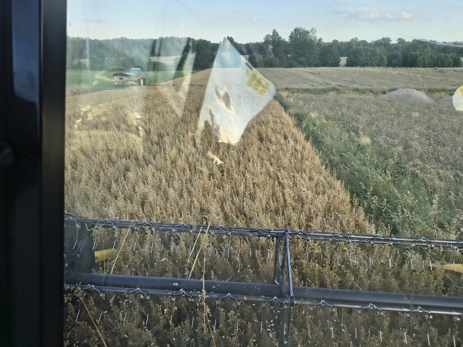 Owies, pszenica,rzepak- czyste,suche 2025 Transport, karma dla kór,kró