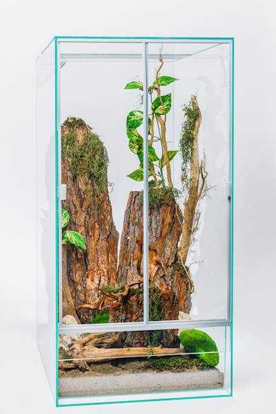 DIVERSA Terrarium 45x45x60 cm 4 mm