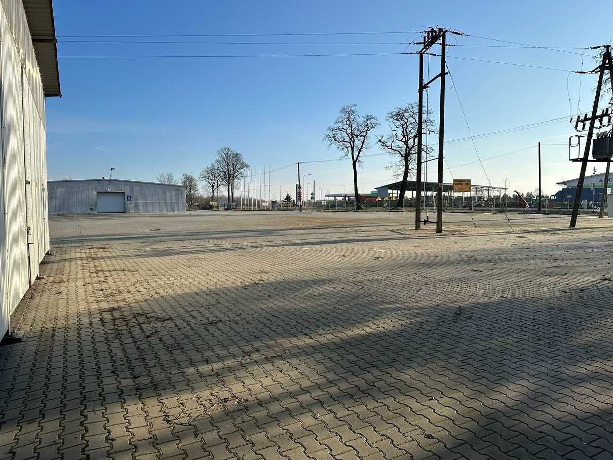 Wynajmę 2 hale 1170 m2 i teren 7000 m2 przy trasie Łódź Wrocław FV.
