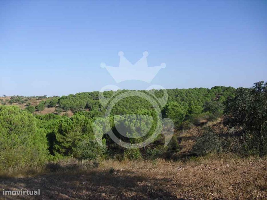 Propriedade Rustica Com 19,125 Hectares