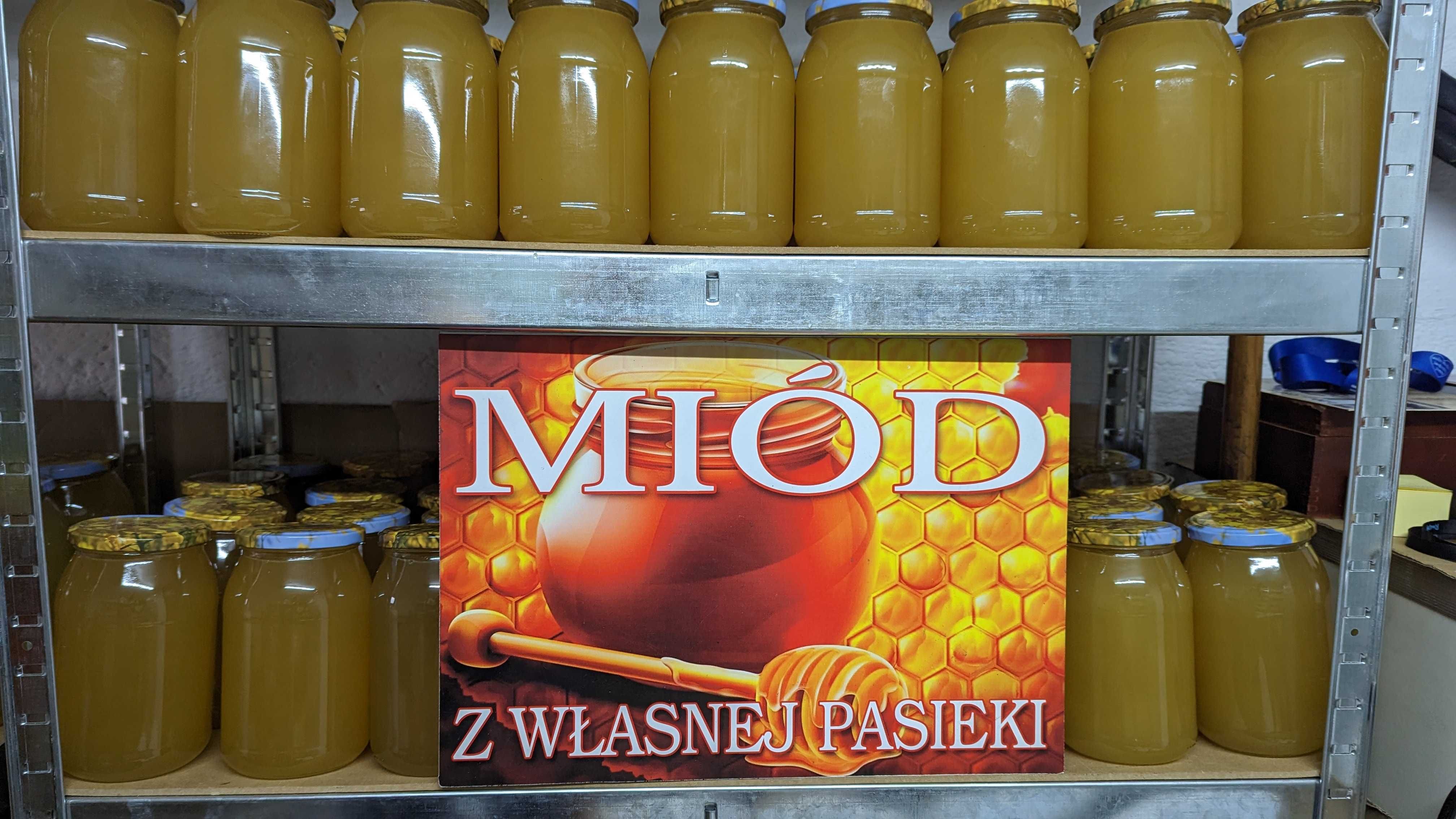 Miód rzepakowy z własnej ekologicznej pasieki