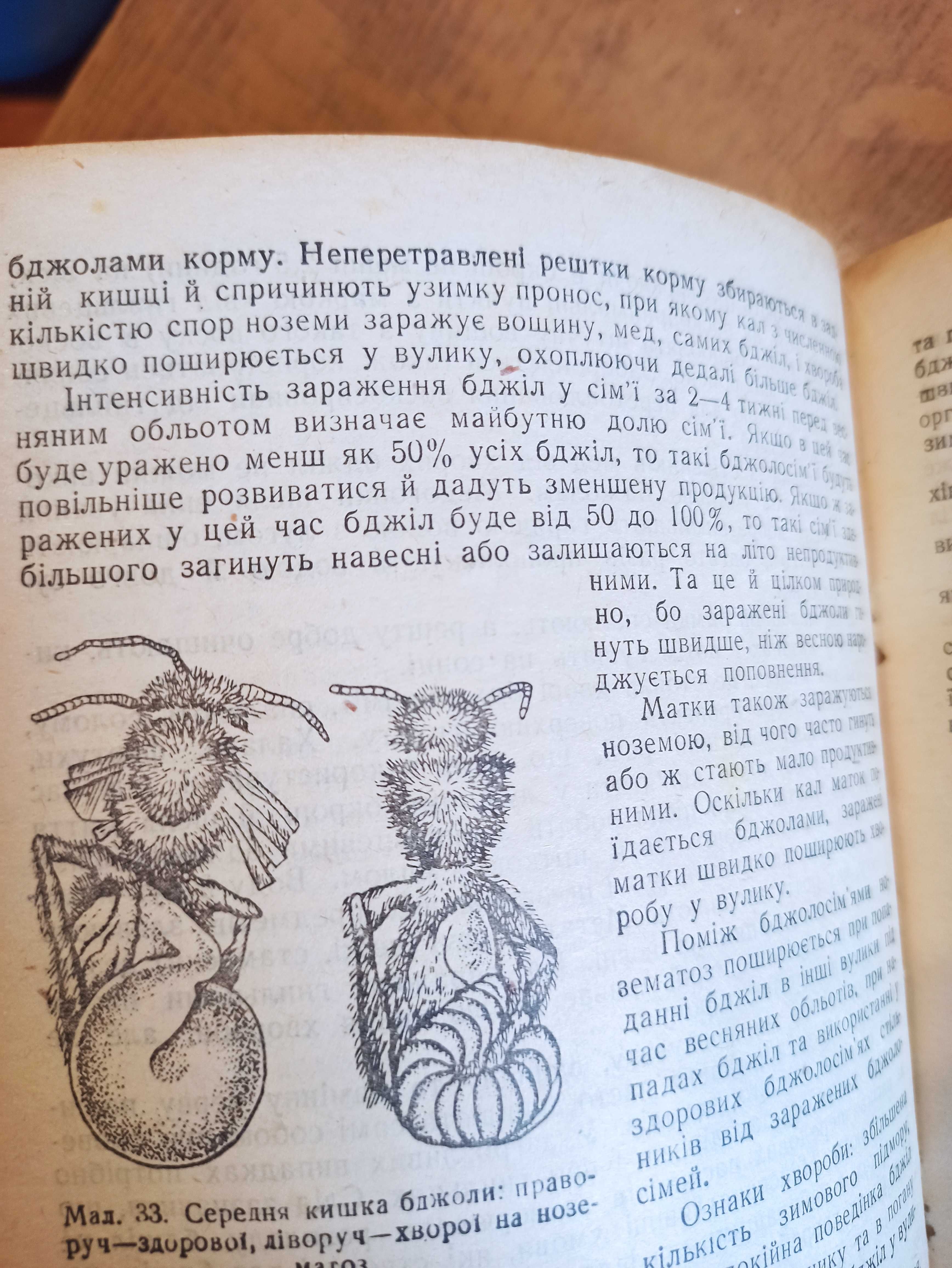Бджільництво. Посібник. Бойко, Розов, Терещенко (1946 рік)