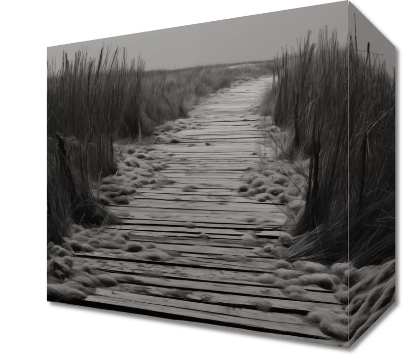 Obraz 20x20cm Ścieżka Ciszy Wydm