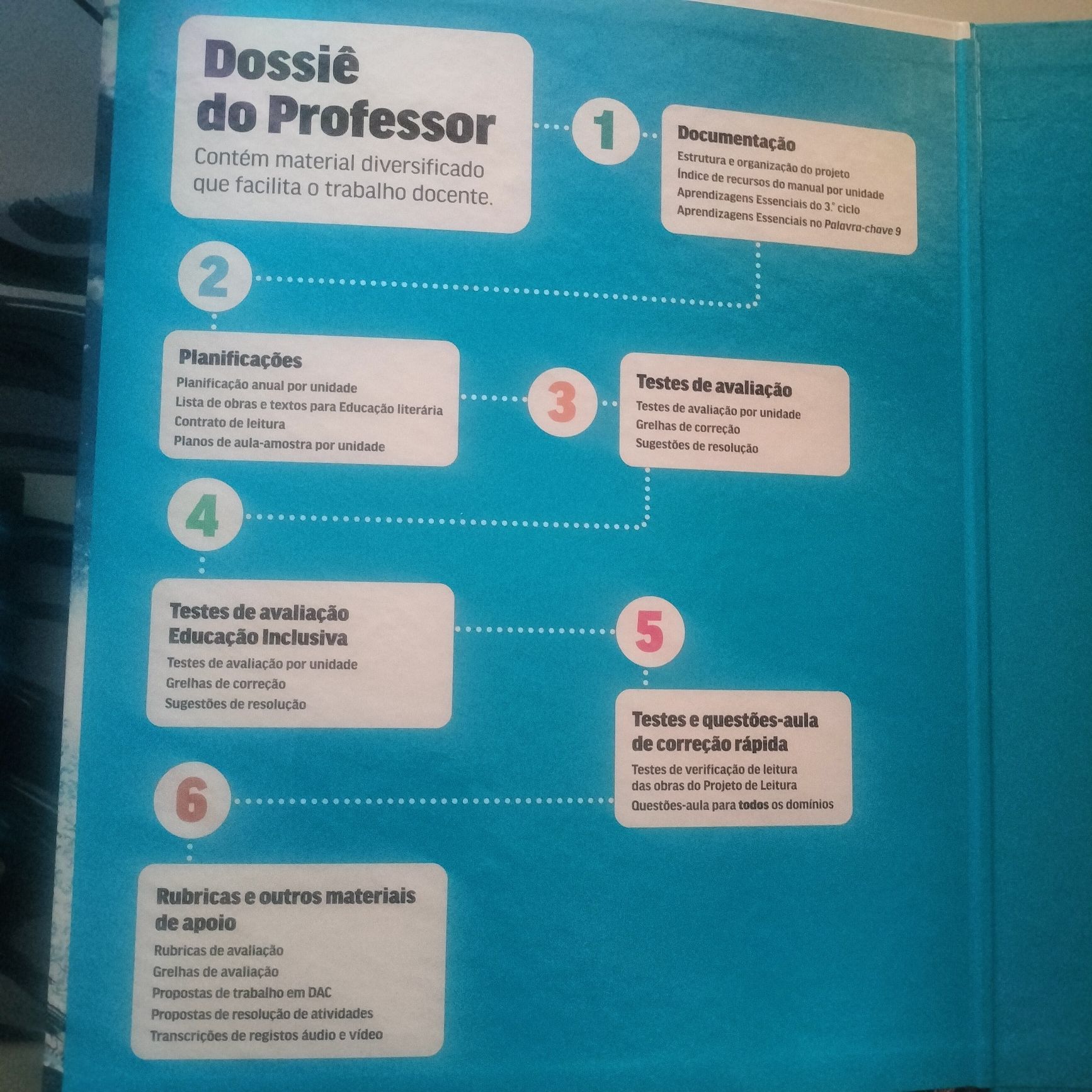 Manual e caderno de atividades de português 9⁰ ano