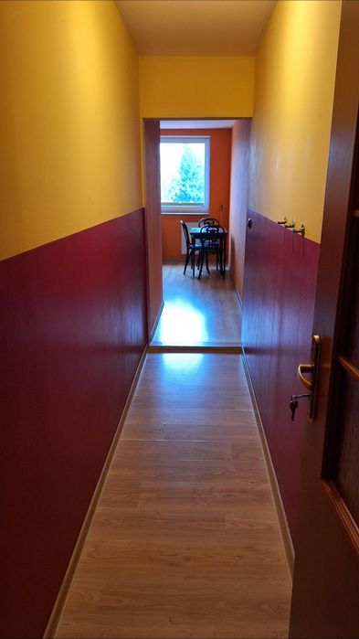 Mieszkanie do wynajecia