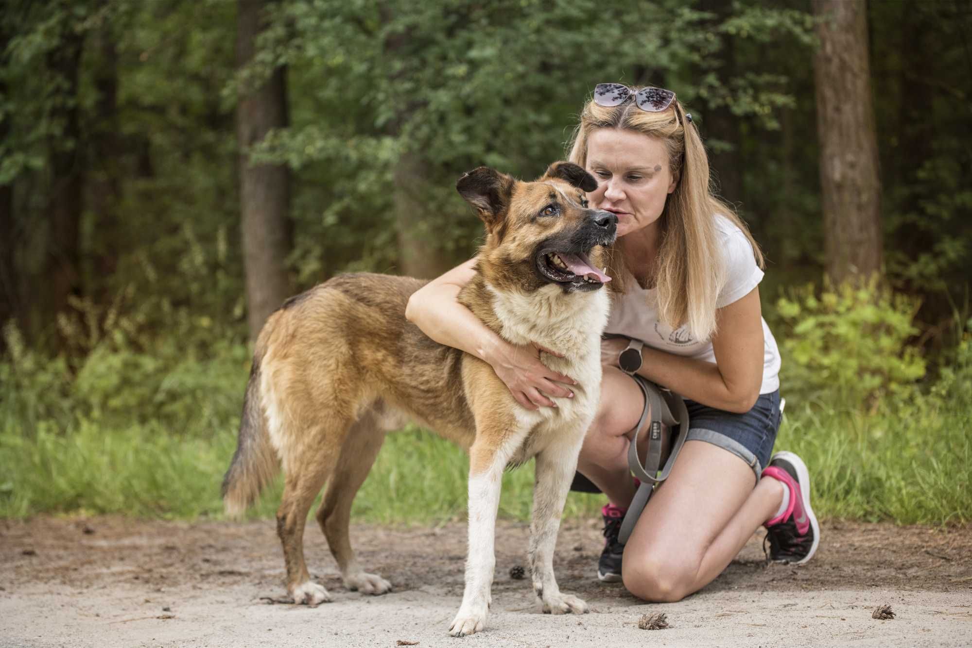 Stich - pięknie umaszczony, posłuszny, cudowny psiak do adopcji