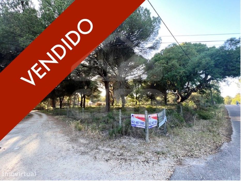 Terreno na Herdade do Zambujeiro