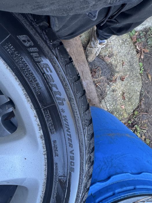 D-cat toyota org. 17