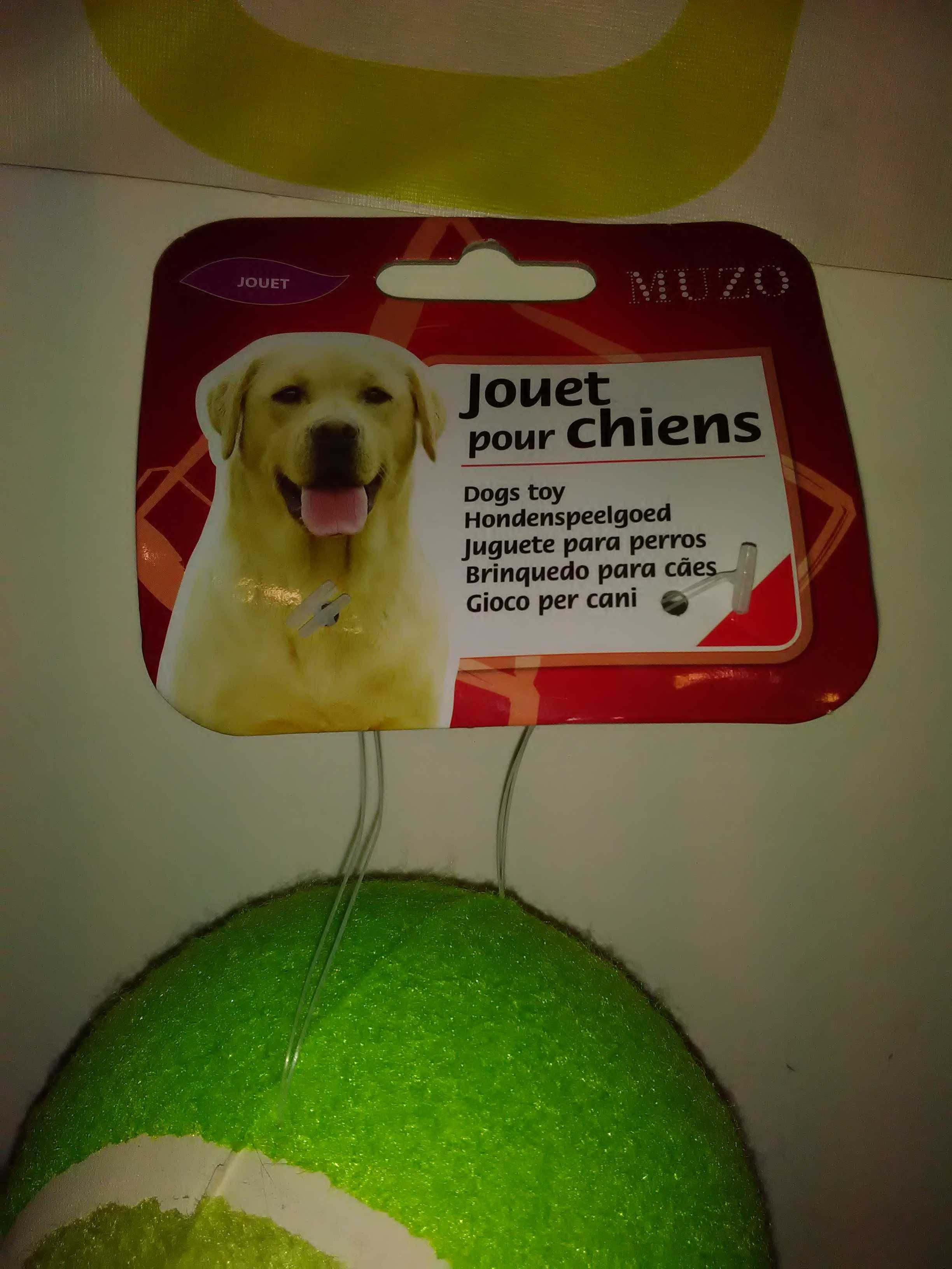 Brinquedo para cão