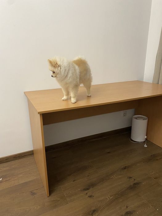 Стіл, робочий стіл, комп’ютерний стіл, письмовий стіл, 70х150