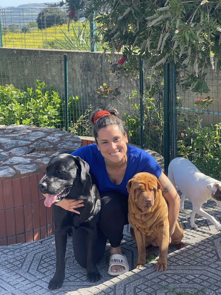 Pet Sitting em ambiente Familiar | Seu Pet com amor e liberdade